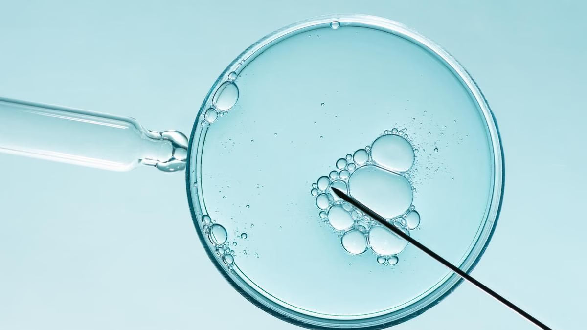 La tecnología innovadora de la ‘biotech’ mallorquina CIRCE Health Science revoluciona los tratamientos antienvejecimiento